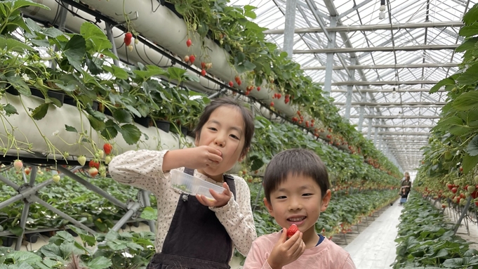 【いちご狩りプラン♪】阿蘇健康農園でおいしいイチゴ食べ放題！ファミリーに人気＜トレーラー泊×朝食付＞